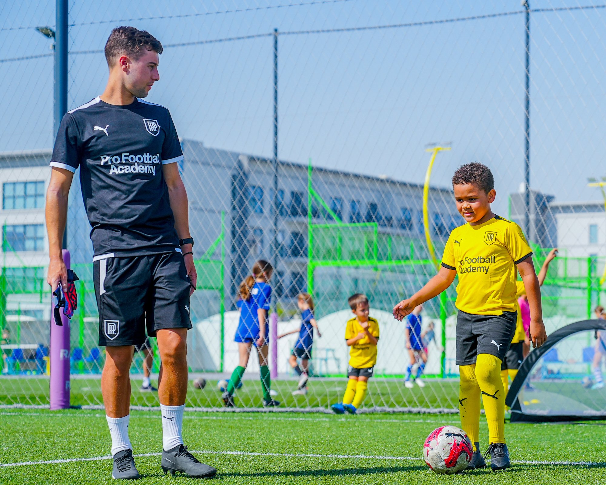 PROFESSIONAL PATHWAY